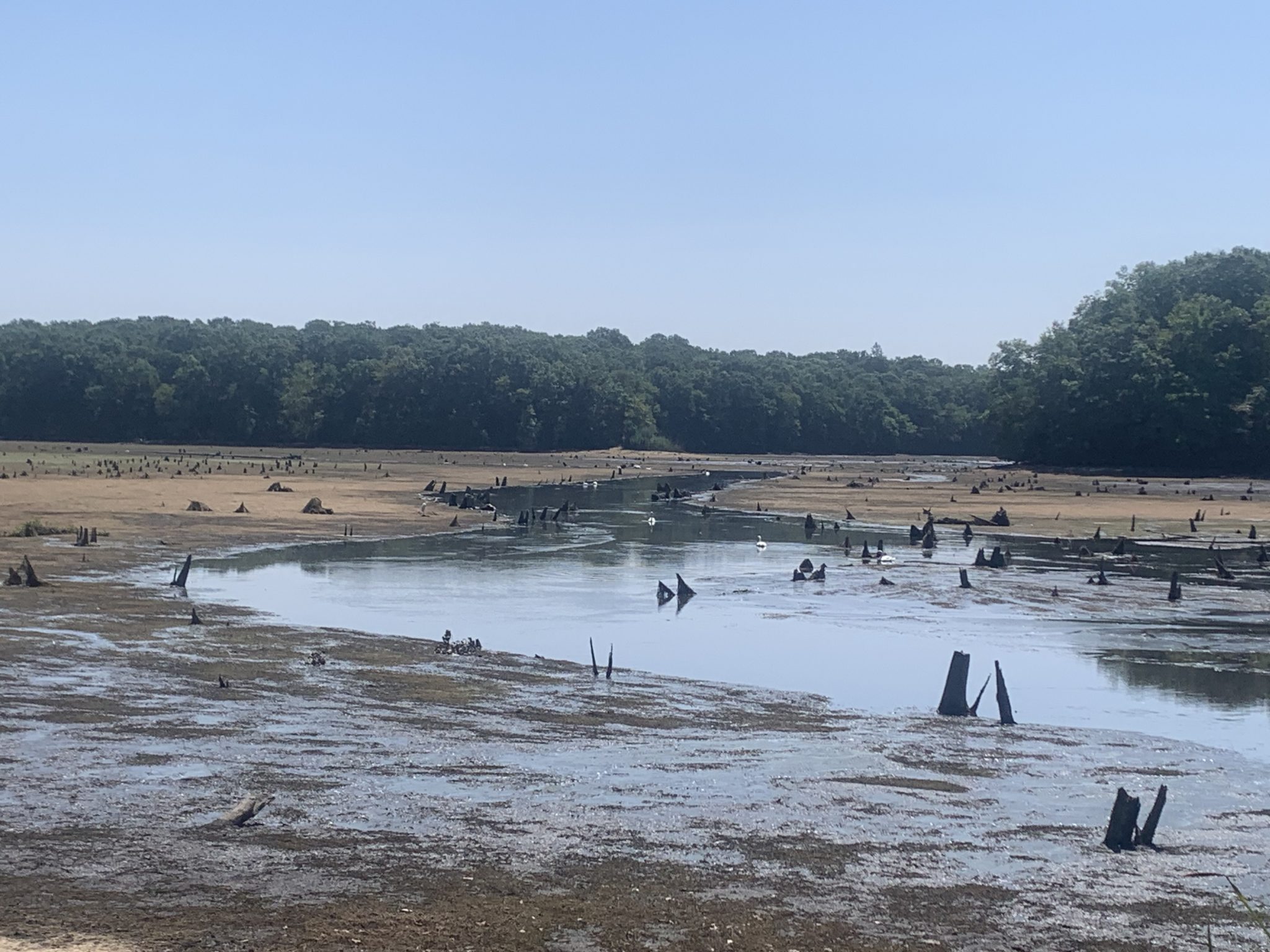 Stump Pond drained after dam failure in August 2024